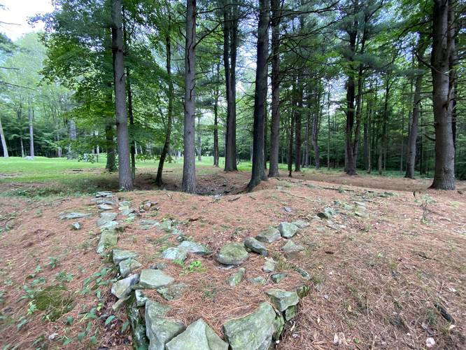 Sink hole near old foundation at Barclay Cemetery