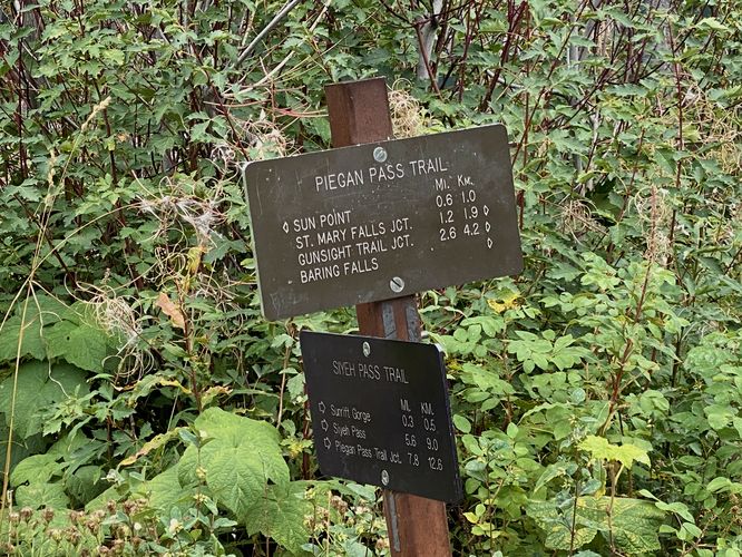 Turn on Piegan Pass Trail to reach Baring Falls