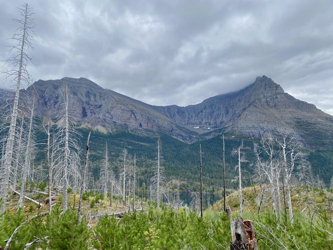 Mahtotopa Mountain (left) and Little Chief Mountain (right)