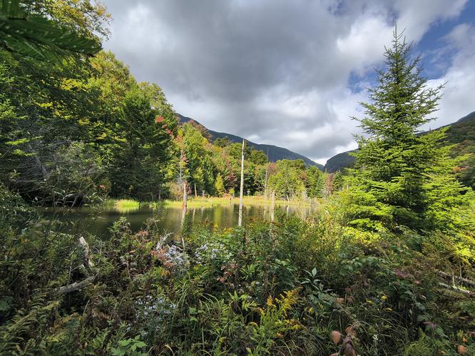 Default image for Barnes Camp Loop Trail, a 1.4-mile trail in Stowe, Vermont (US)