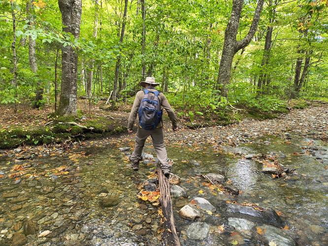 Stream crossing - use caution over slippery wet rocks