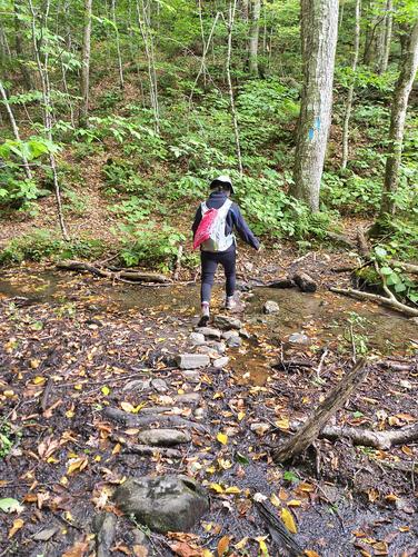 The second stream crossings. Watch your step.