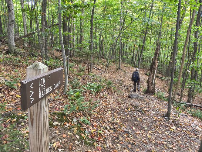 After a steep steady climb we reached the Long Trail 