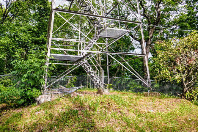 Picture 4 of Barnett Knob Lookout Tower Hike 061618