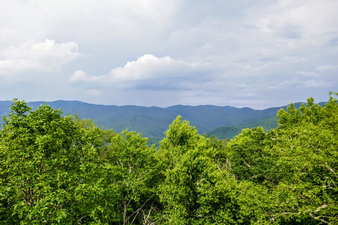 Picture 7 of Barnett Knob Lookout Tower Hike 061618