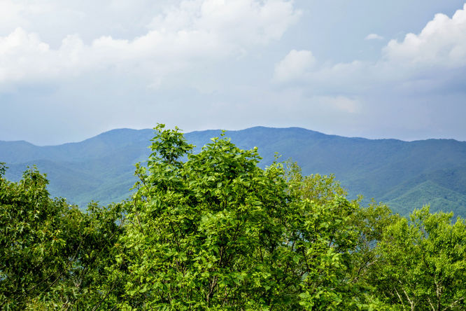 Picture 13 of Barnett Knob Lookout Tower Hike 061618
