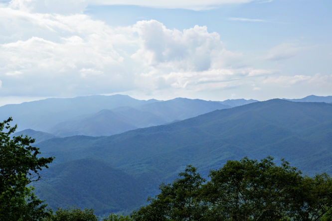Barnett Knob Lookout Tower Hike default picture