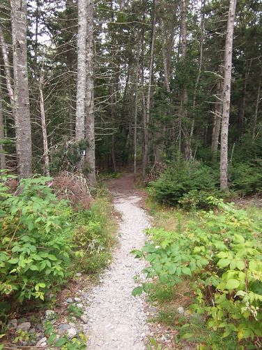 Start of trail