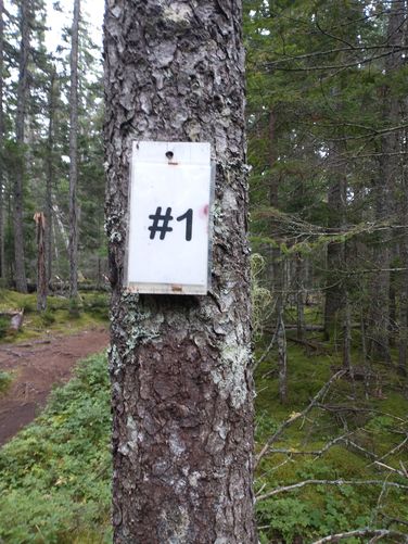 One of 10 points of interest along the trail