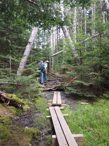 Boardwalks to assist navigation