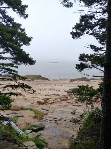 View from the trail 