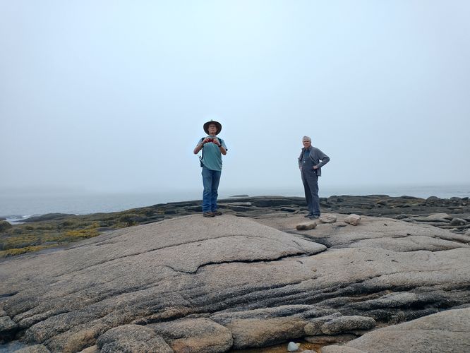 Foggy view of Goose Cove