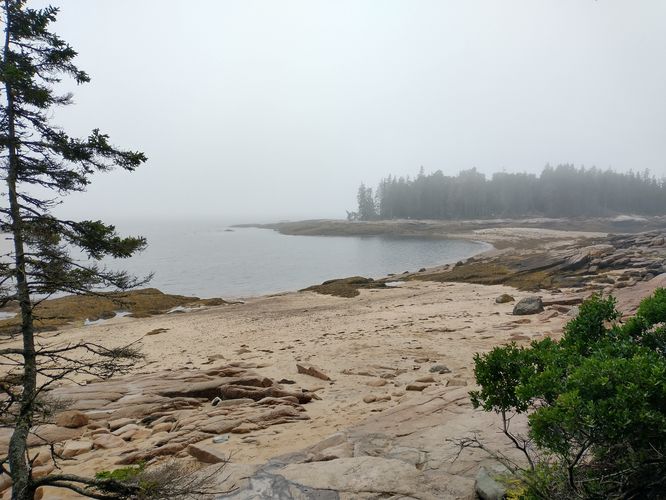  Foggy view of Goose Cove