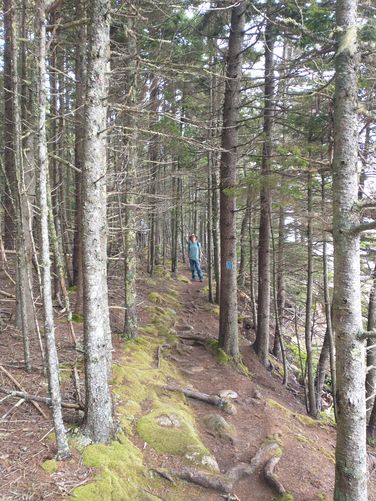 Trail along the waters edge