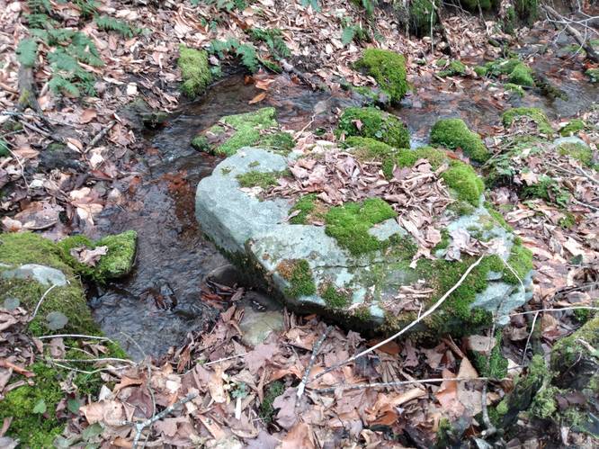 Creek Side Resting Stone