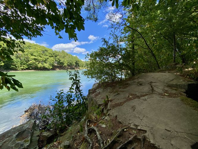 View of the creek from the trail