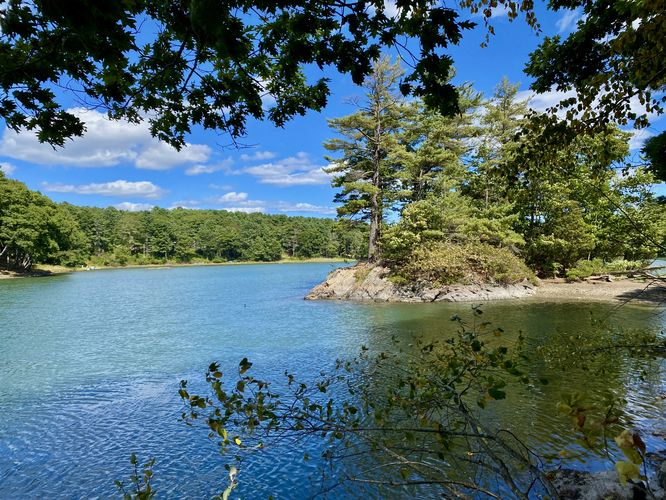 View of Barters Creek island from the bend in the trail