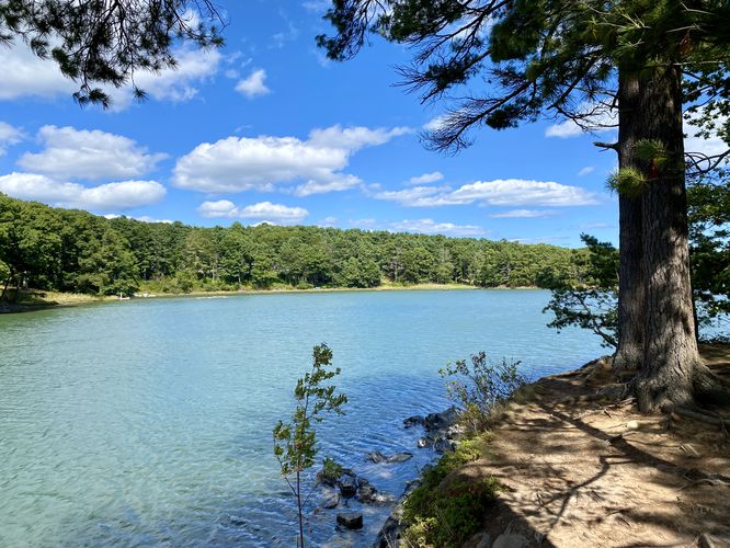 View of Barters Creek from the island