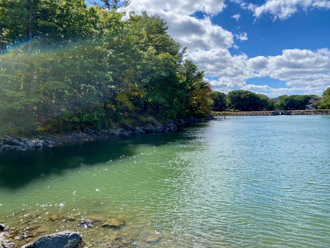 Westward view of Barters Creek from the island