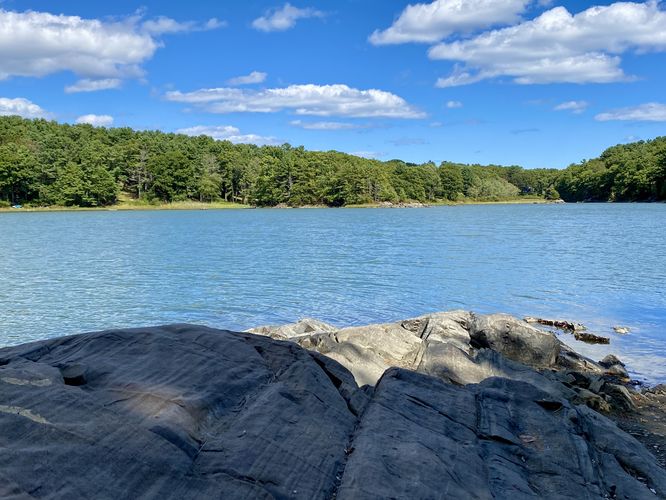 Eastward view of Barters Creek from the island