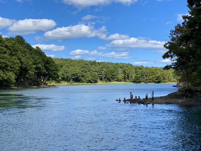 View of Barters Creek with old dock pillars