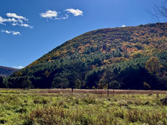 Picture 2 of Bartlett Mountain Oct 17 2026