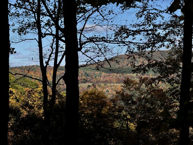 Picture 8 of Bartlett Mountain Oct 17 2026