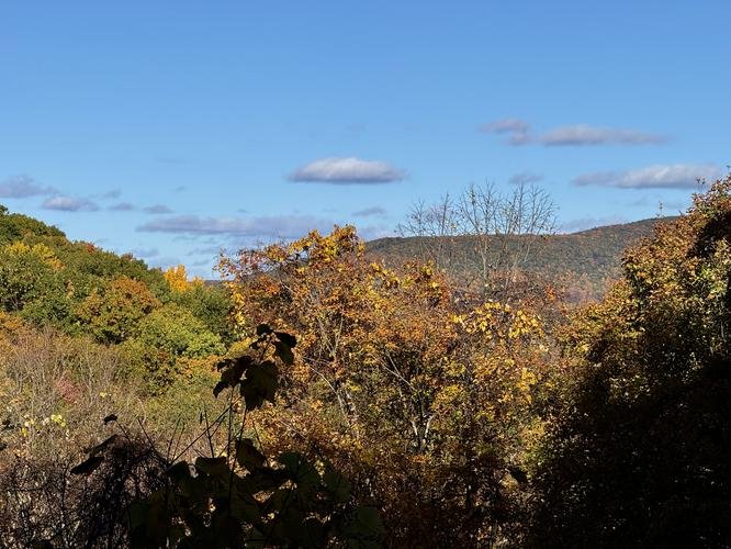 Picture 10 of Bartlett Mountain Oct 17 2026