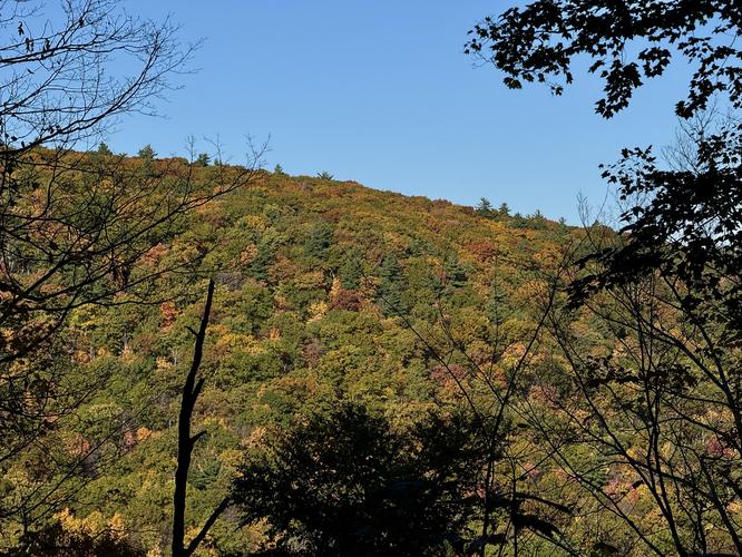 Picture 14 of Bartlett Mountain Oct 17 2026