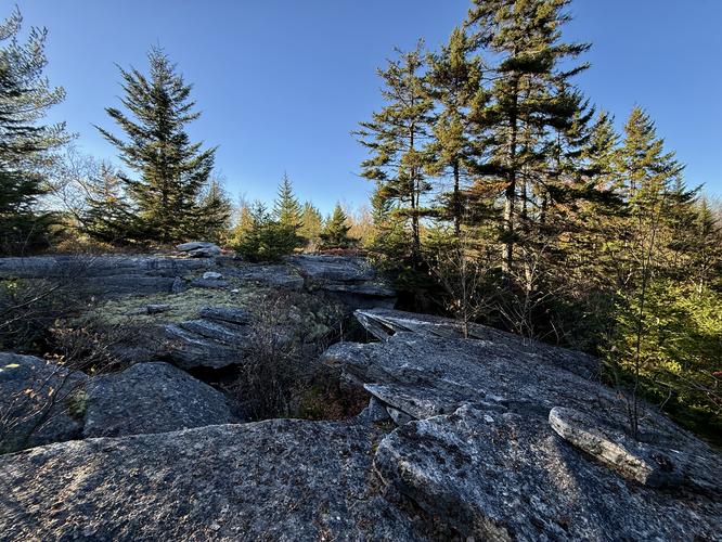 Picture 42 of Bartlett Mountain Oct 17 2026