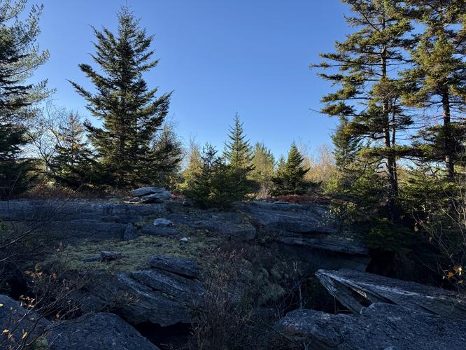Picture 43 of Bartlett Mountain Oct 17 2026