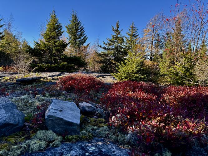 Picture 44 of Bartlett Mountain Oct 17 2026