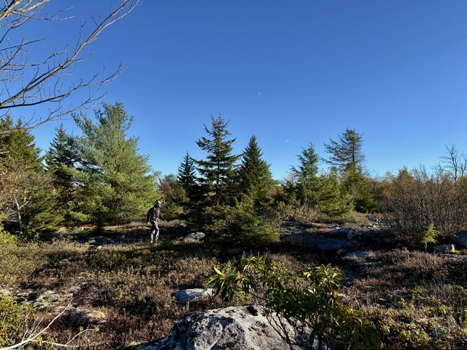 Picture 46 of Bartlett Mountain Oct 17 2026