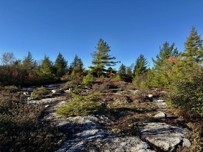 Picture 47 of Bartlett Mountain Oct 17 2026