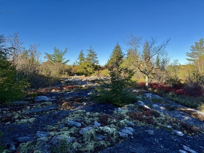 Picture 48 of Bartlett Mountain Oct 17 2026