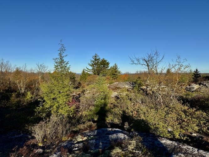 Picture 49 of Bartlett Mountain Oct 17 2026