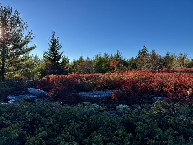 Picture 54 of Bartlett Mountain Oct 17 2026