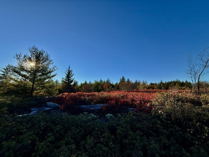 Picture 56 of Bartlett Mountain Oct 17 2026
