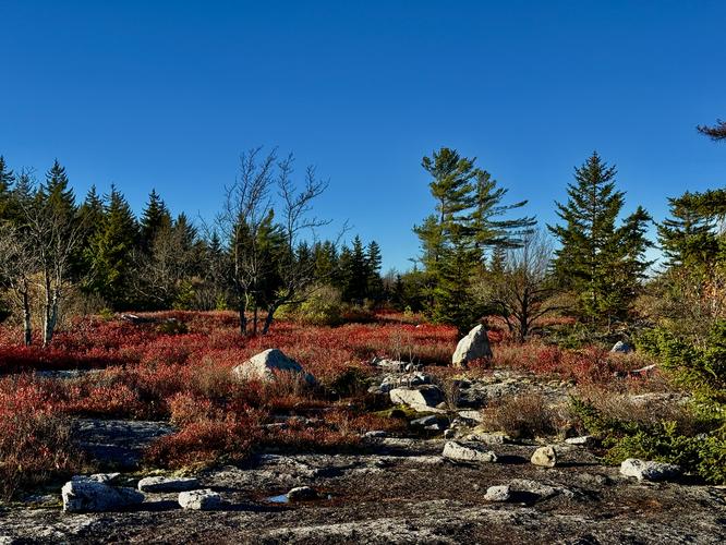 Picture 61 of Bartlett Mountain Oct 17 2026