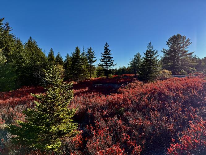 Picture 66 of Bartlett Mountain Oct 17 2026