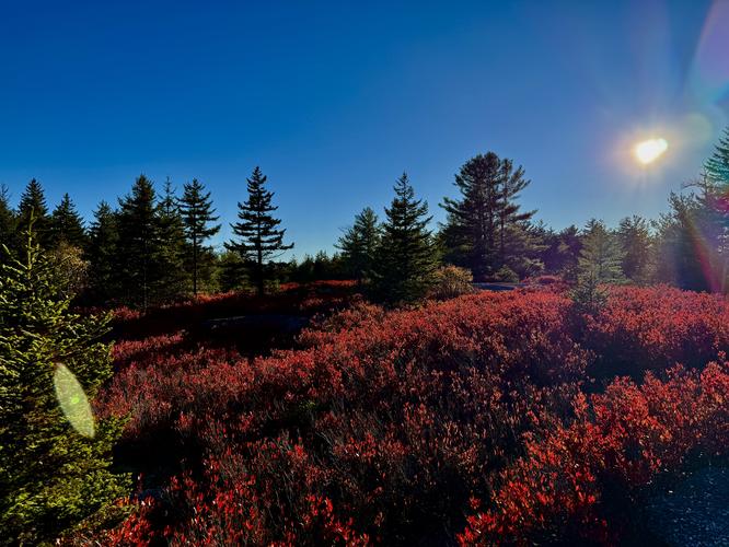 Default image for Bartlett Mountain, a 8.3-mile trail in Forkston, Pennsylvania (US)