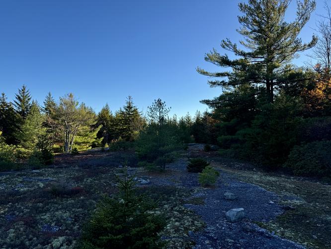 Picture 68 of Bartlett Mountain Oct 17 2026