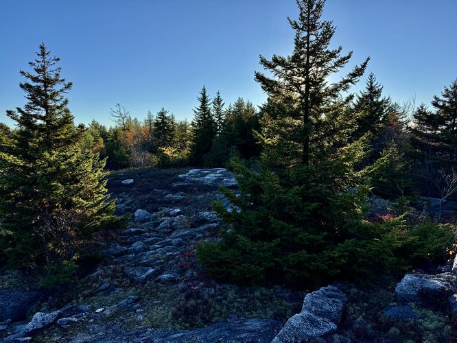 Picture 75 of Bartlett Mountain Oct 17 2026