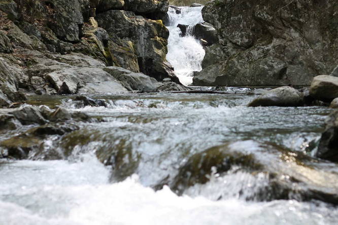 Bash Bish Falls Trail - Bash Bish Falls Trail album