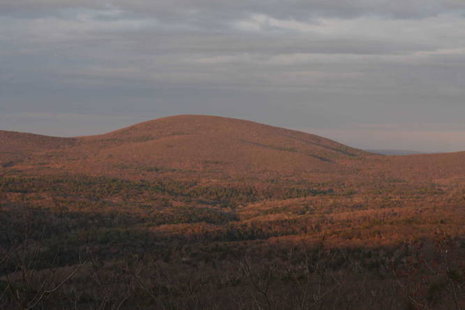 Facing northeast from the South Taconic Trail