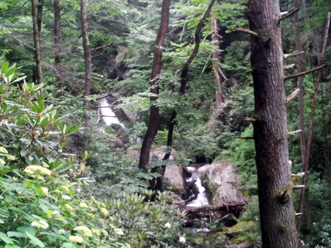 Picture 1 of Basin Creek Hike 062914