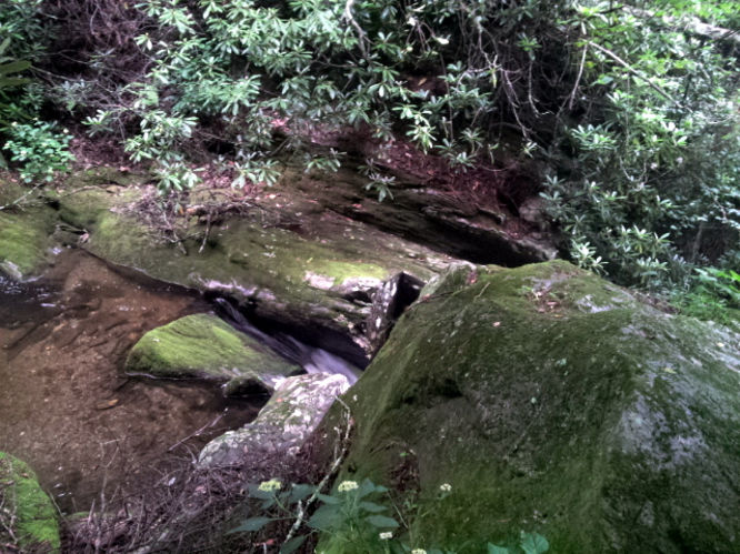 Picture 3 of Basin Creek Hike 062914