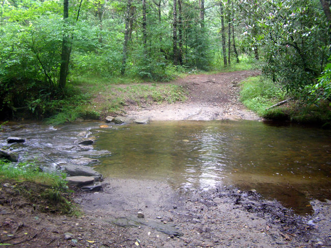 Picture 8 of Basin Creek Hike 062914