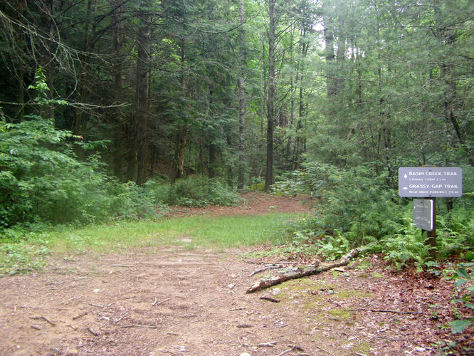 Picture 10 of Basin Creek Hike 062914