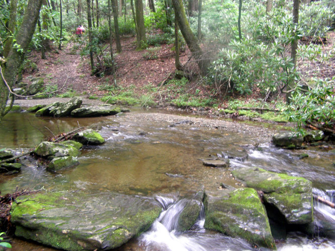 Picture 15 of Basin Creek Hike 062914